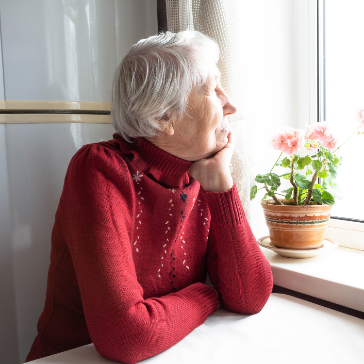 Supportive conversation with an older adult